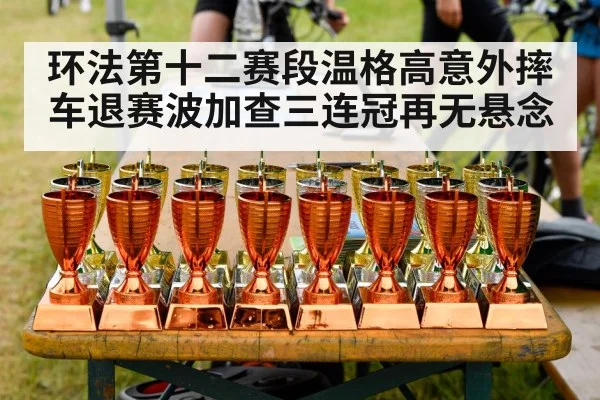环法第十二赛段温格高意外摔车退赛波加查三连冠再无悬念