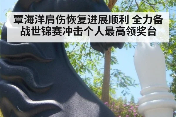 覃海洋肩伤恢复进展顺利 全力备战世锦赛冲击个人最高领奖台